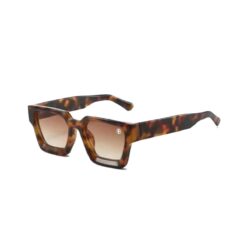 Sunglasses - brown